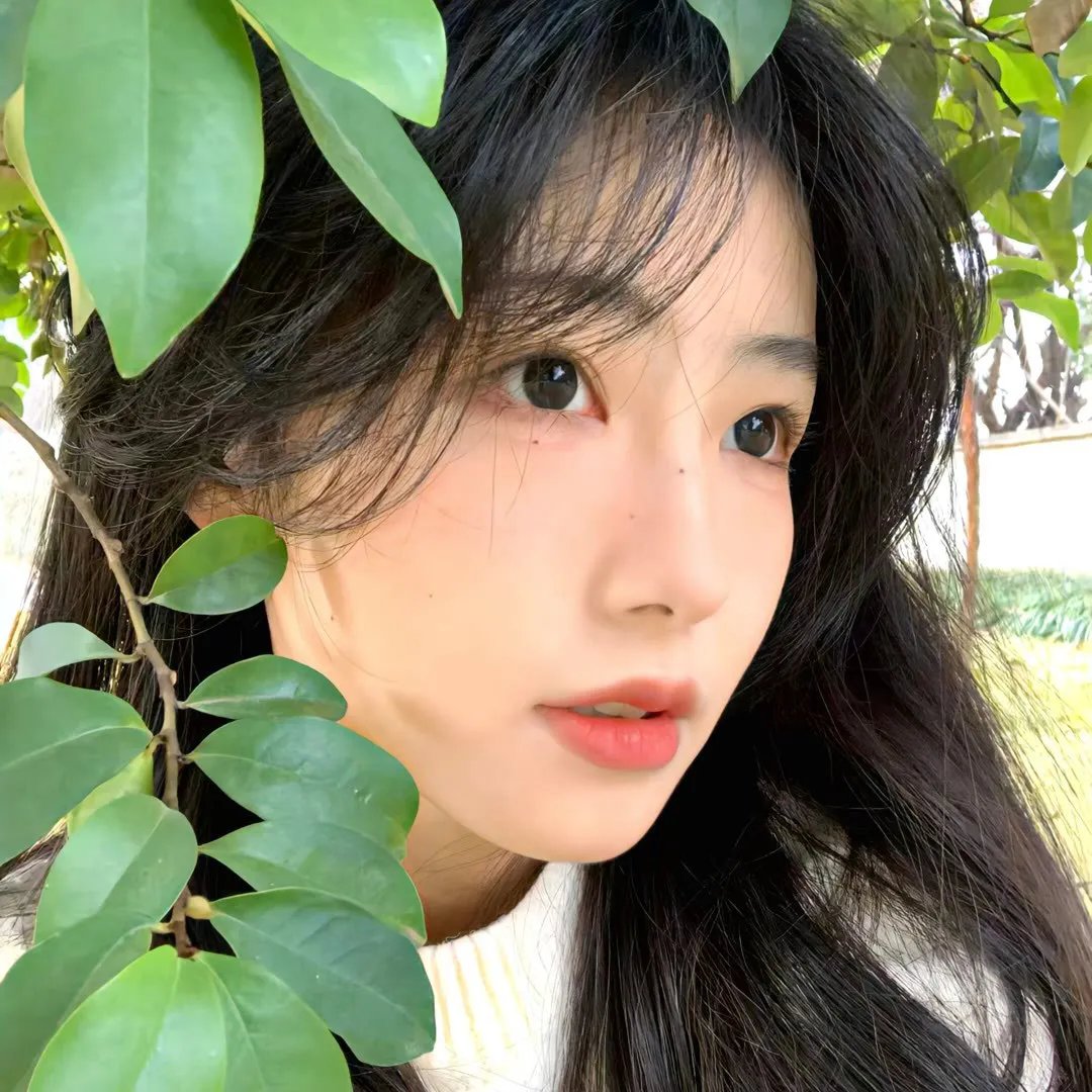 杀戮追击